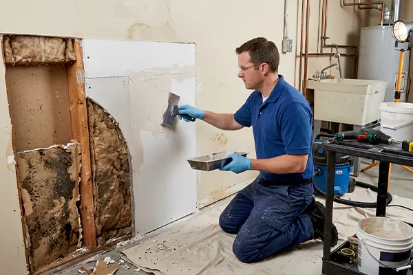 Mold and Drywall Repair San Clemente