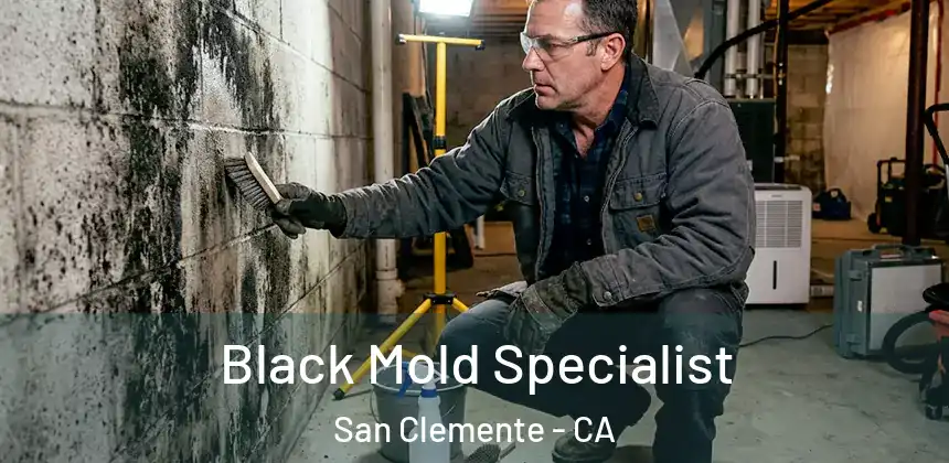  Black Mold Specialist San Clemente - CA