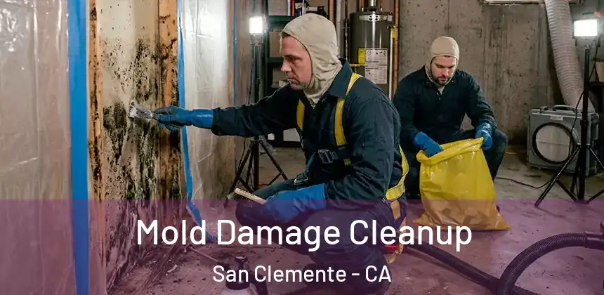  Mold Damage Cleanup San Clemente - CA
