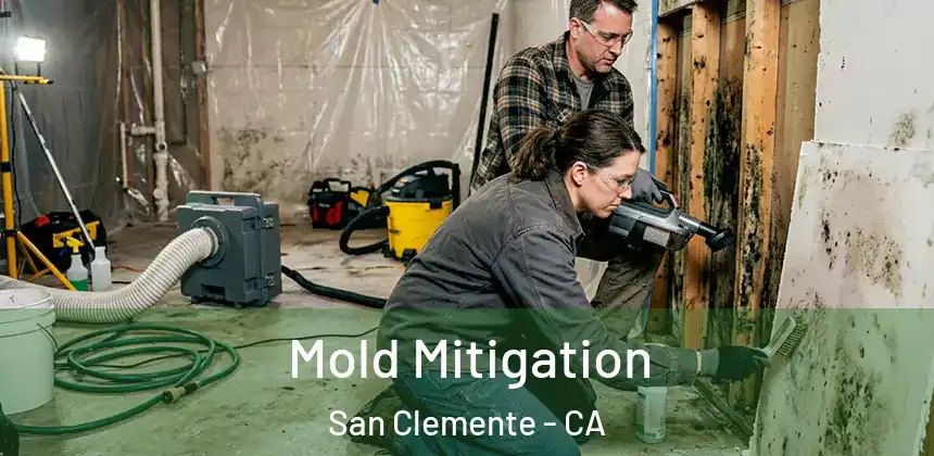  Mold Mitigation San Clemente - CA