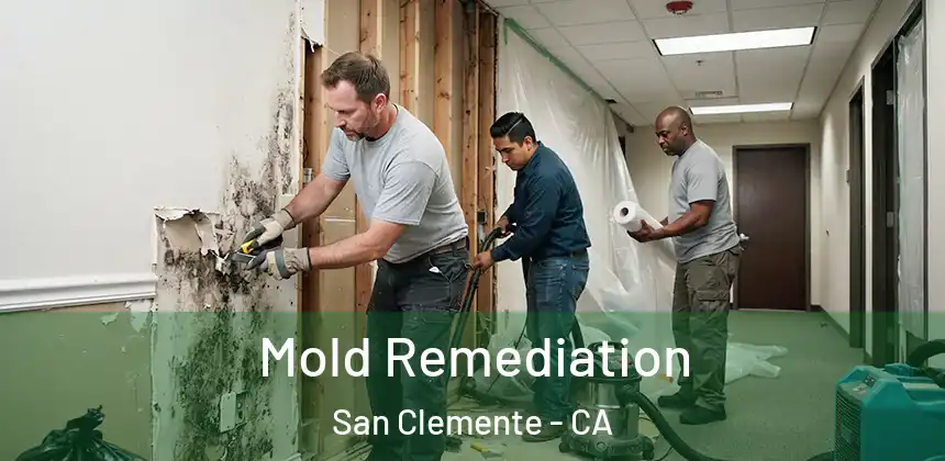  Mold Remediation San Clemente - CA