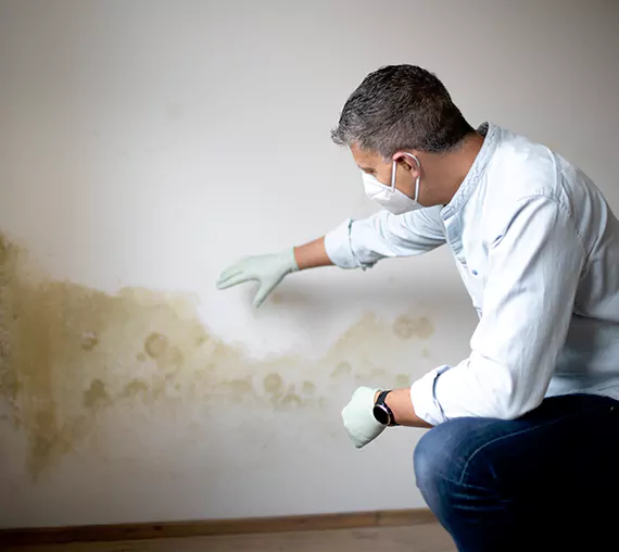 Mold Removal Service in San Clemente, CA