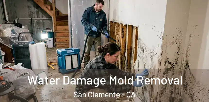  Water Damage Mold Removal San Clemente - CA